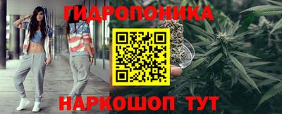 прущие грибы Партизанск