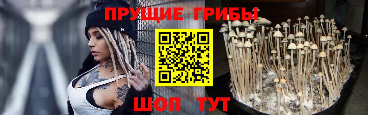 Рыбинск  наркошоп  Вход с VPN  Галлюциногенные грибы Psilocybine cubensis 